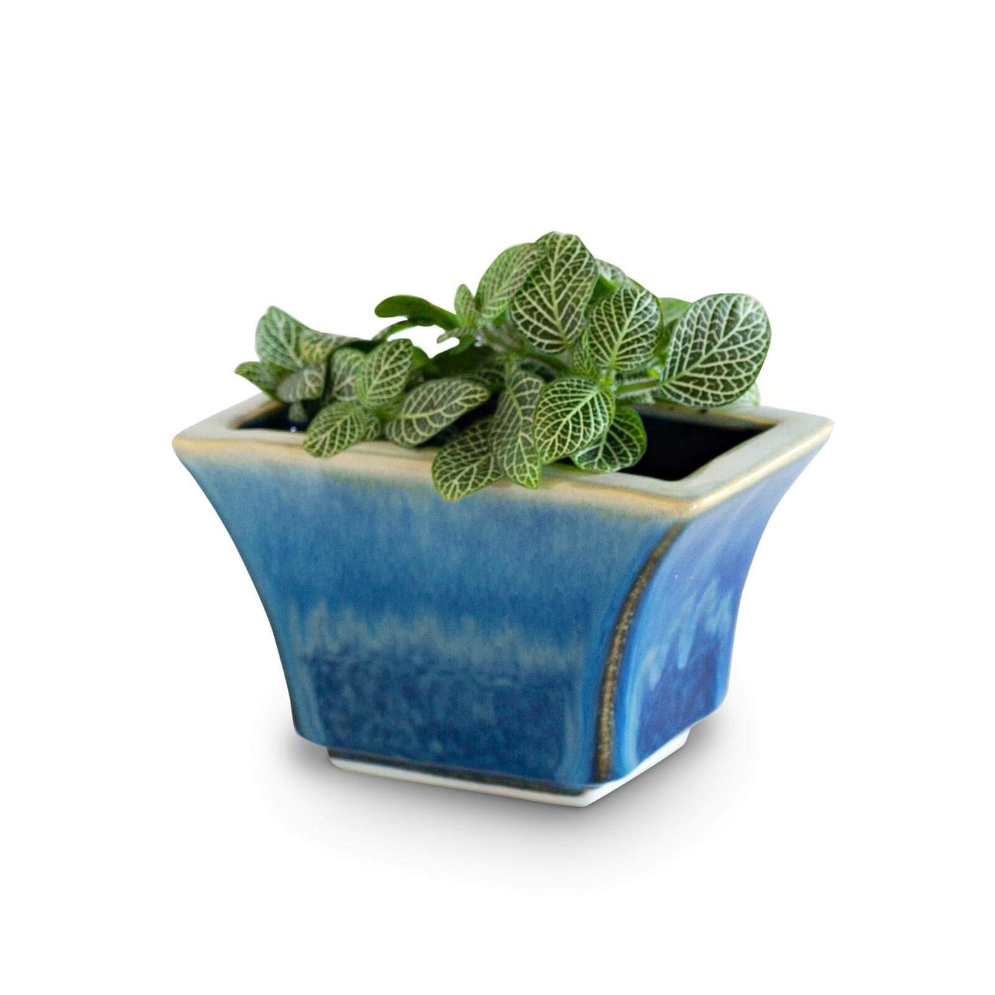 Handmade Pottery Windowsill Planter in Cobalt pattern made by Georgetown Pottery in Maine