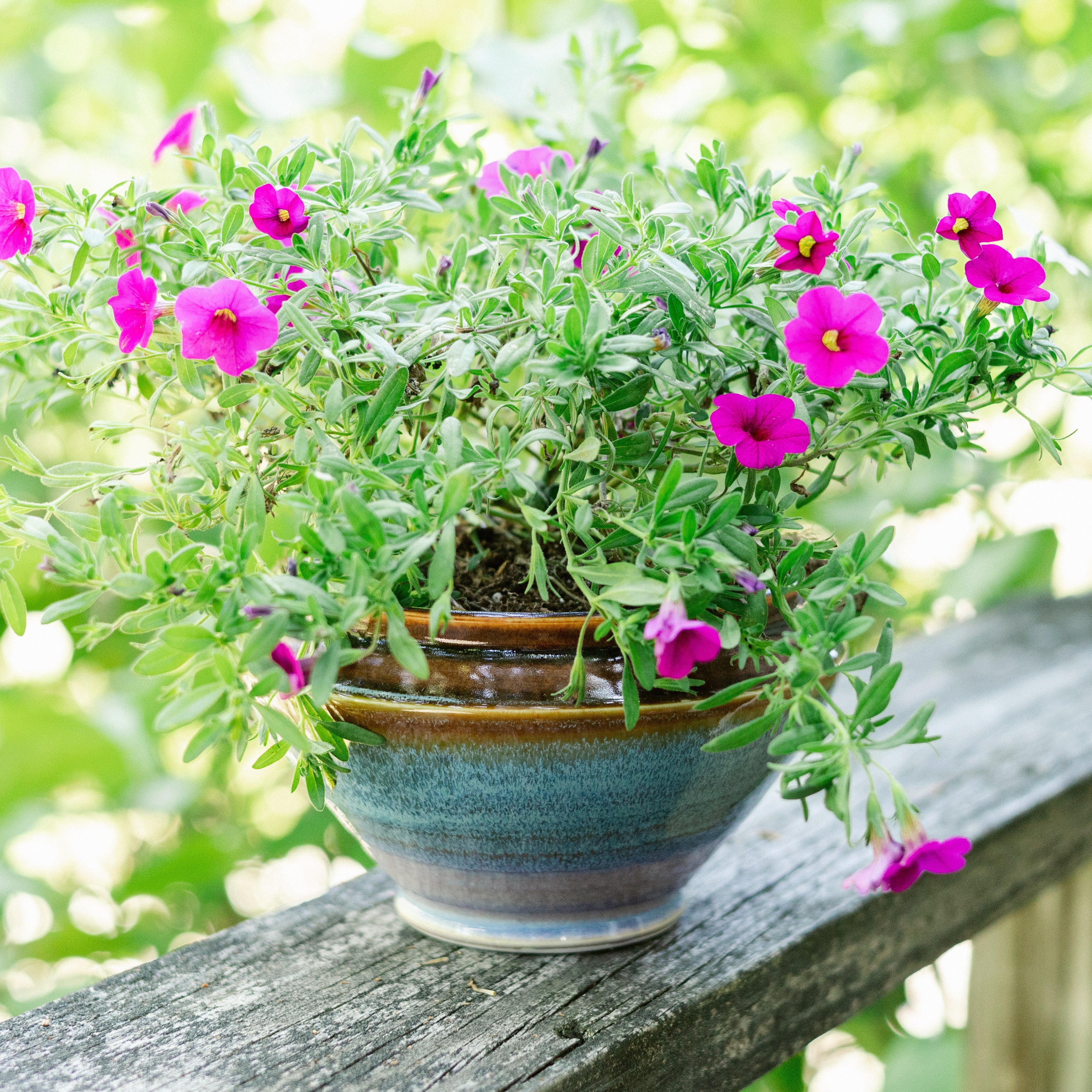 Desktop Planter handmade by Georgetown Pottery in Maine