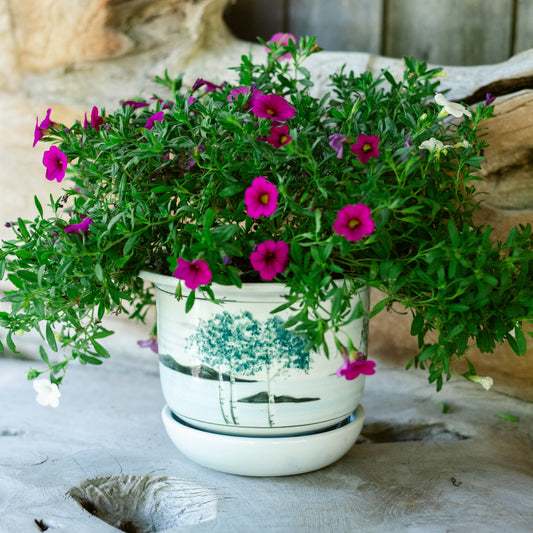 6 Inch Ring Planter