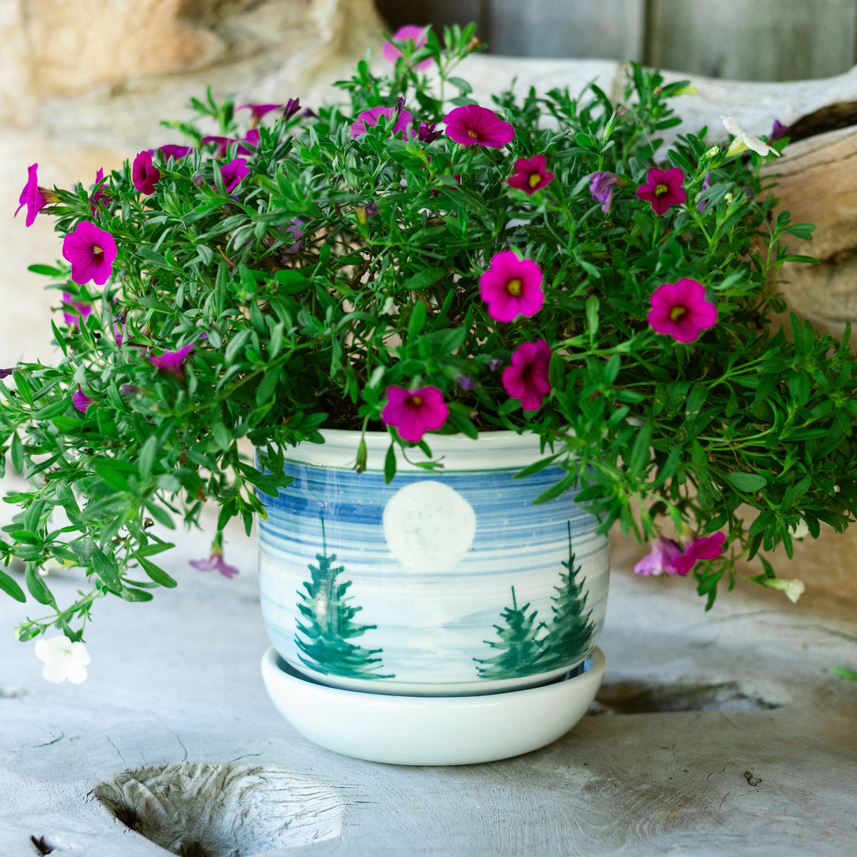 6 Inch Ring Planter