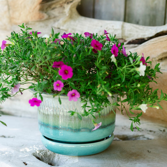 7 Inch Ring Planter