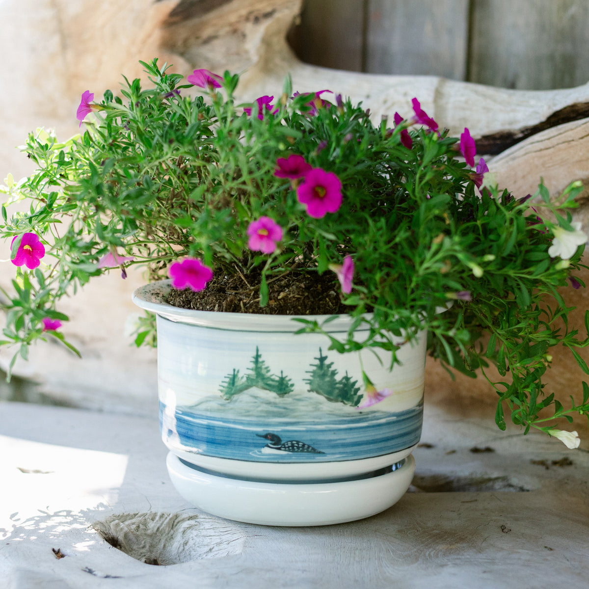 7 Inch Ring Planter