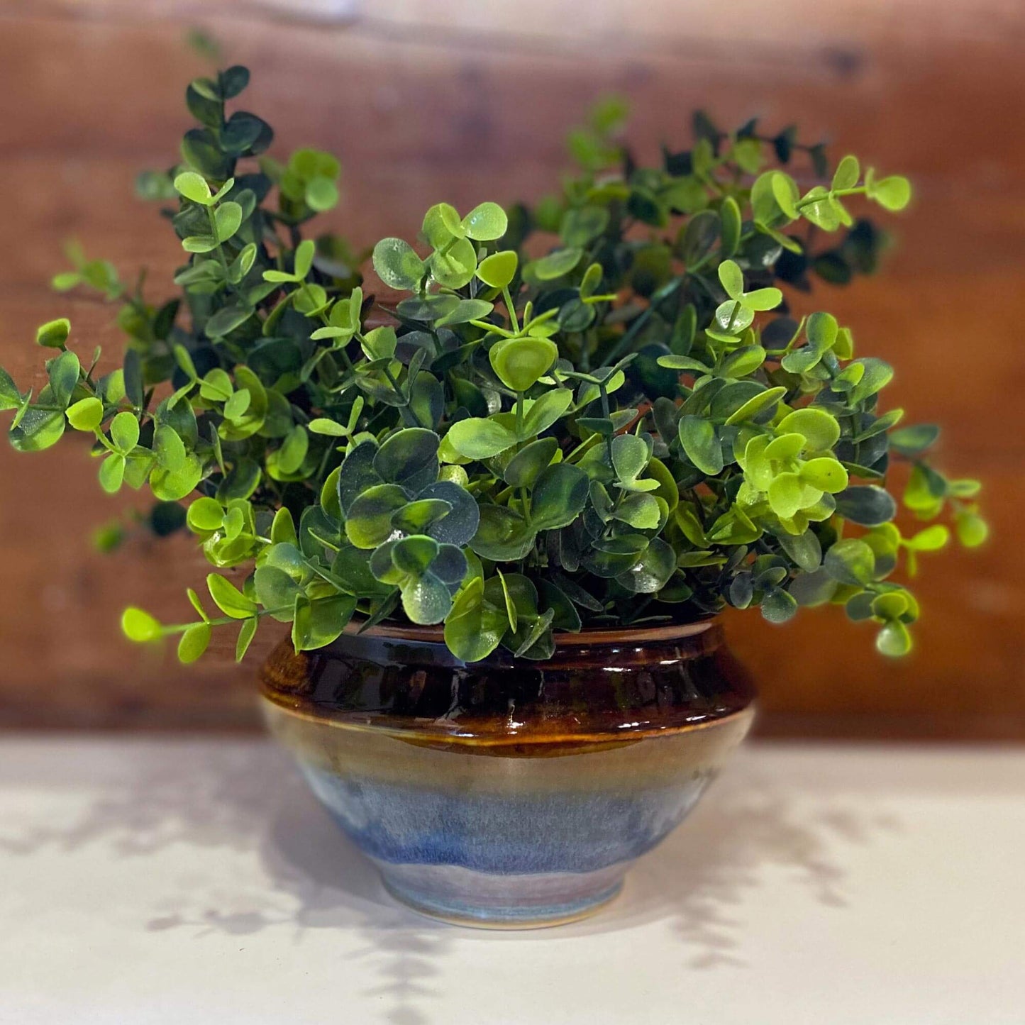 Handmade Pottery Desktop Planter made by Georgetown Pottery in Maine