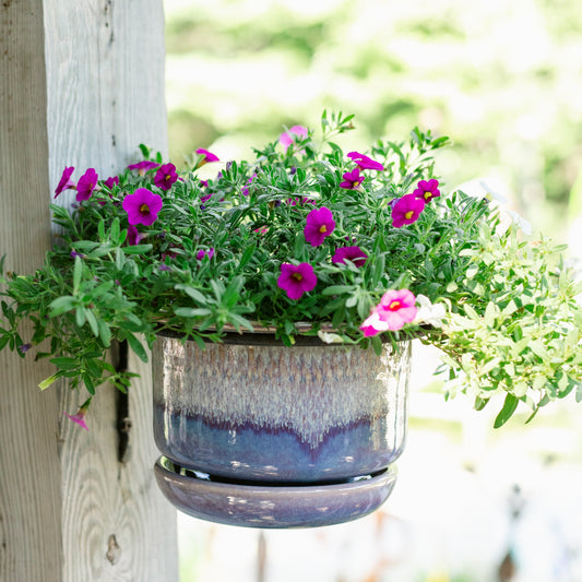 Wall Mounted Hanging Ring for Ring Planters