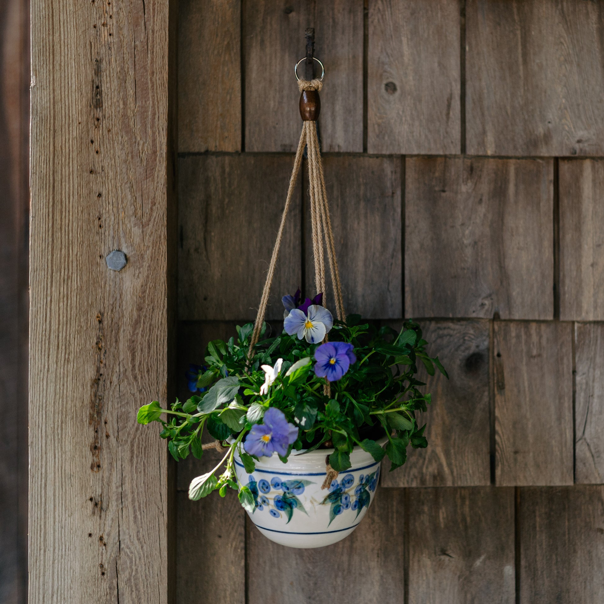 round hanging wall planter Georgetown Pottery Round Hanging Planter , handmade porcelain
