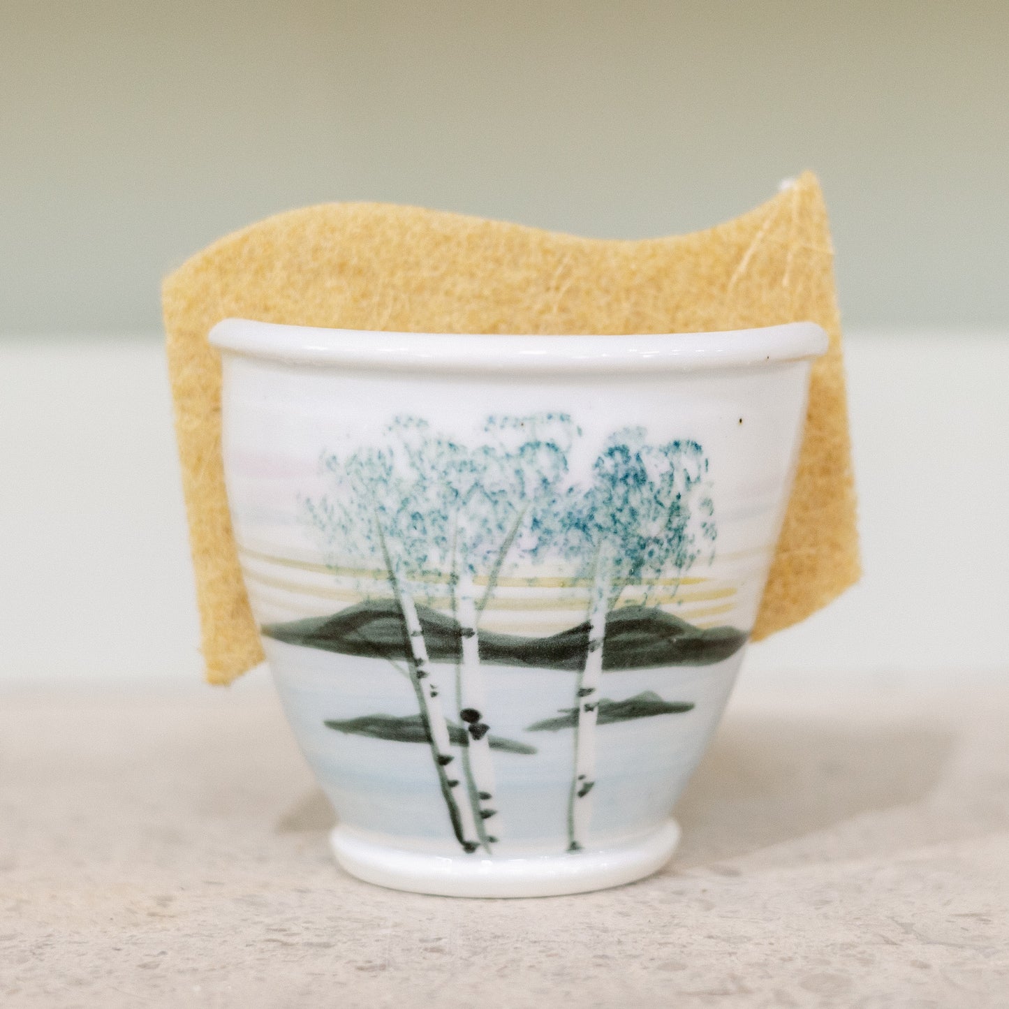 Sponge Holder