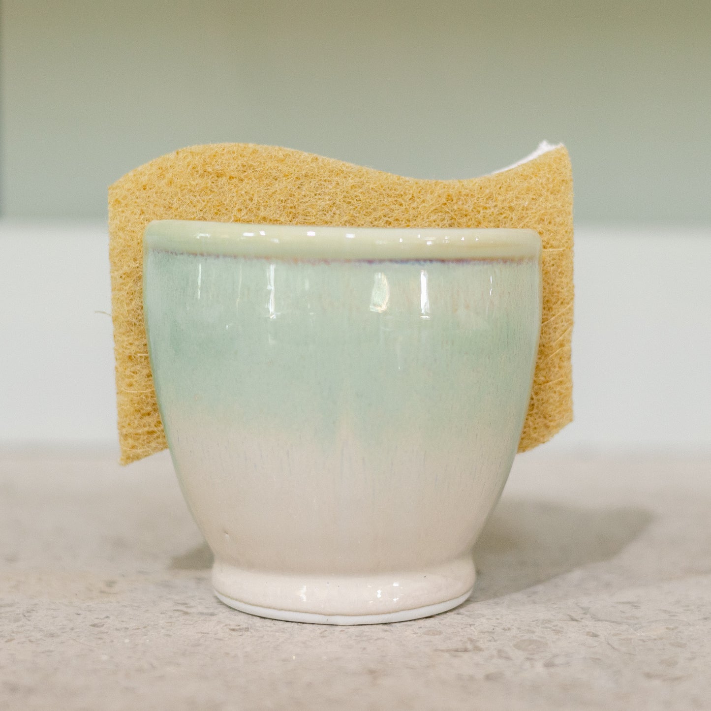 Sponge Holder