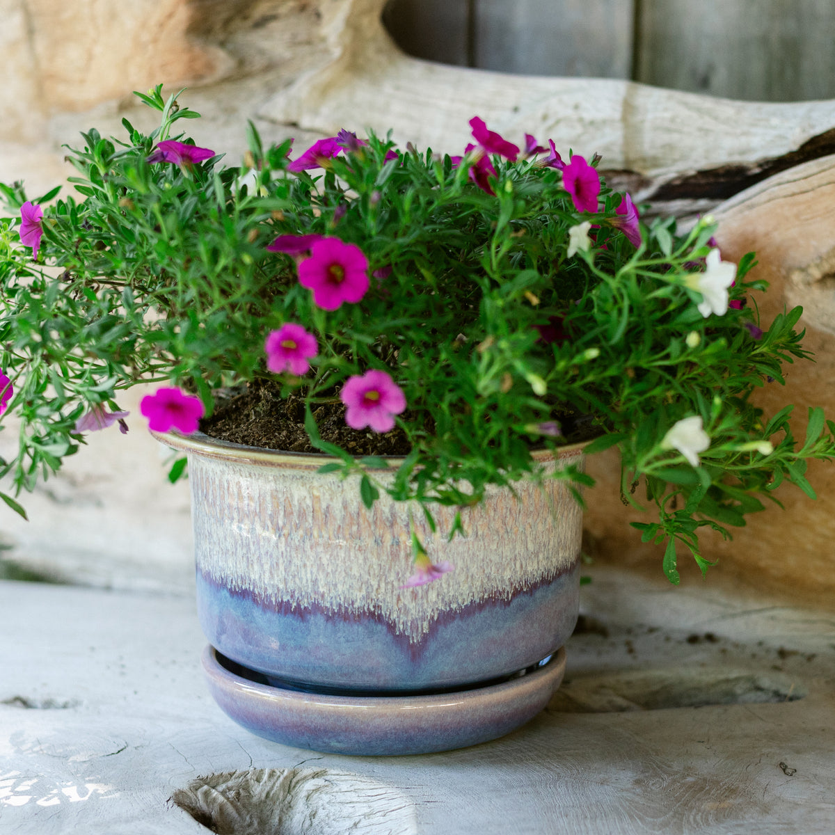 7 Inch Ring Planter