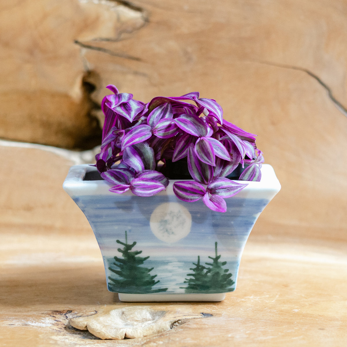 Windowsill Planter