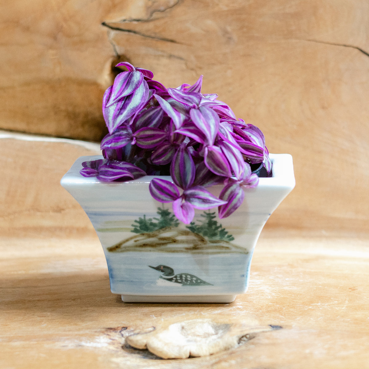 Windowsill Planter
