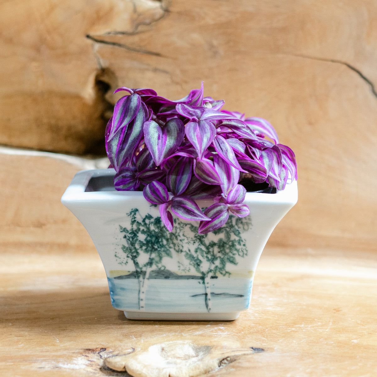 Windowsill Planter