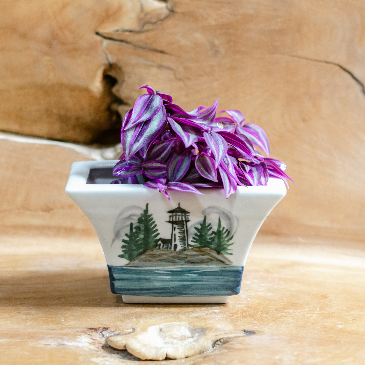 Windowsill Planter