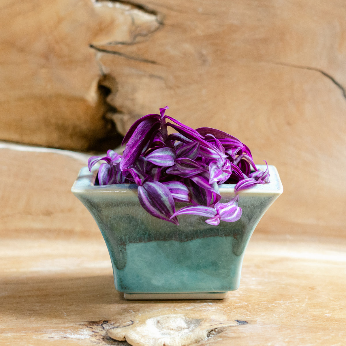 Windowsill Planter