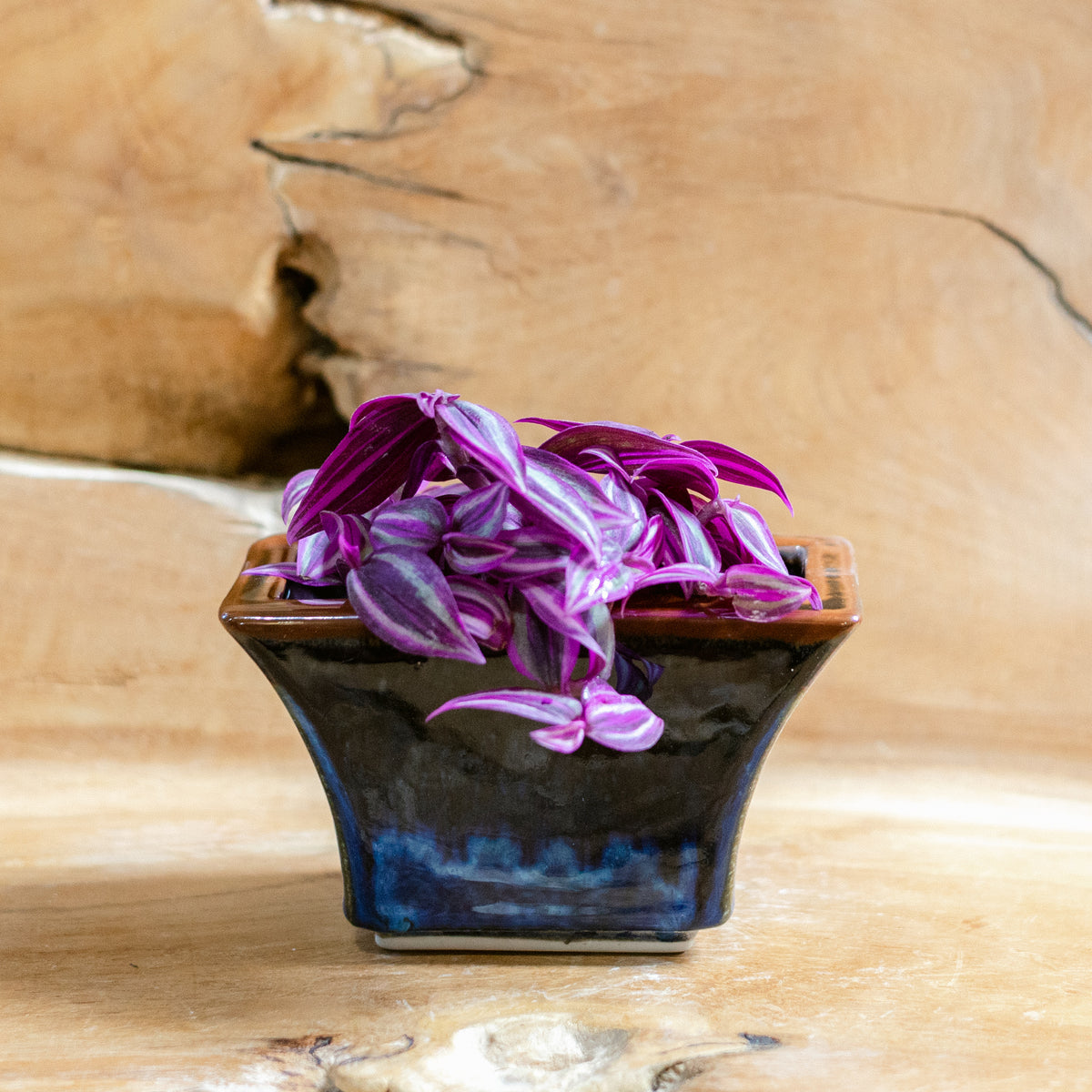 Windowsill Planter