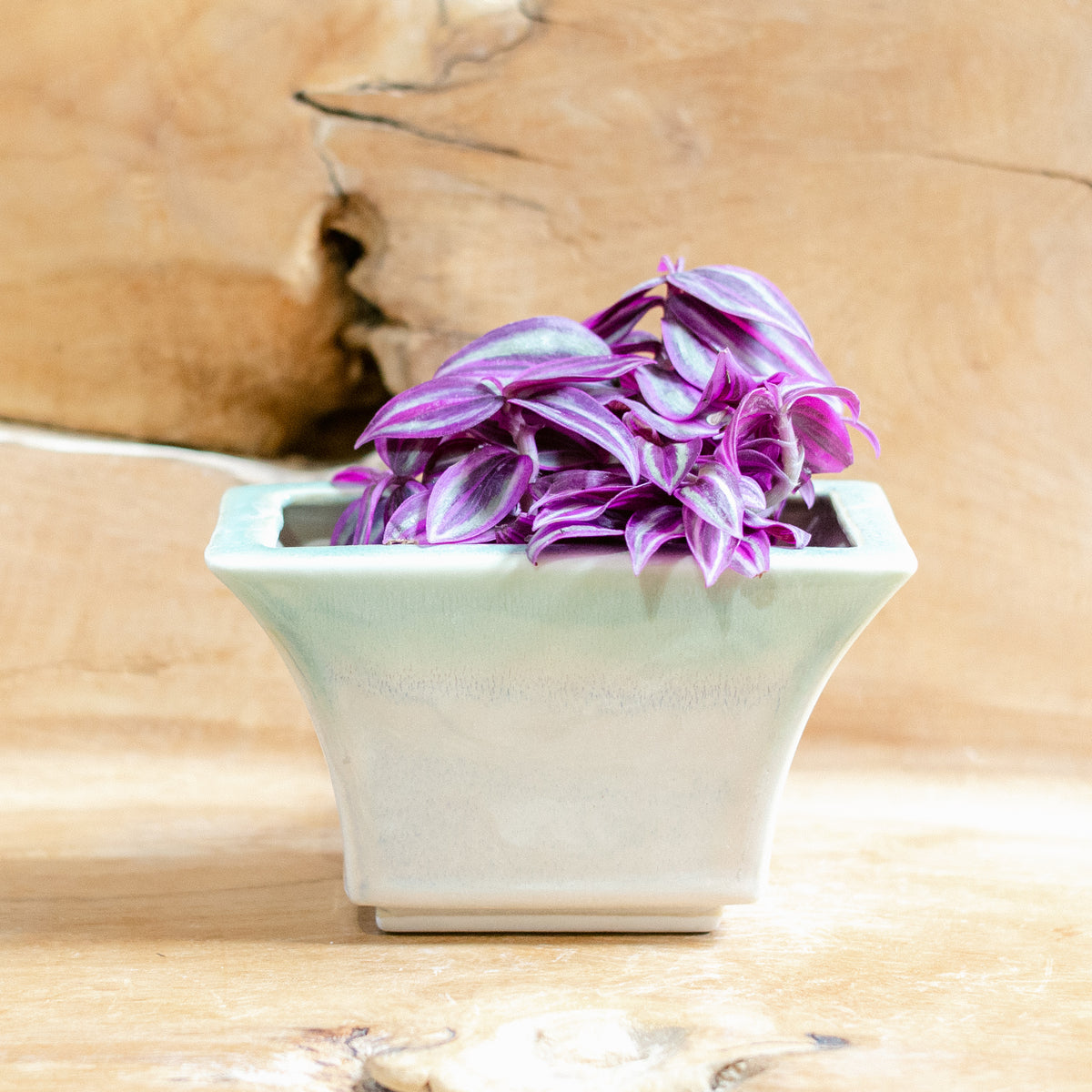 Windowsill Planter