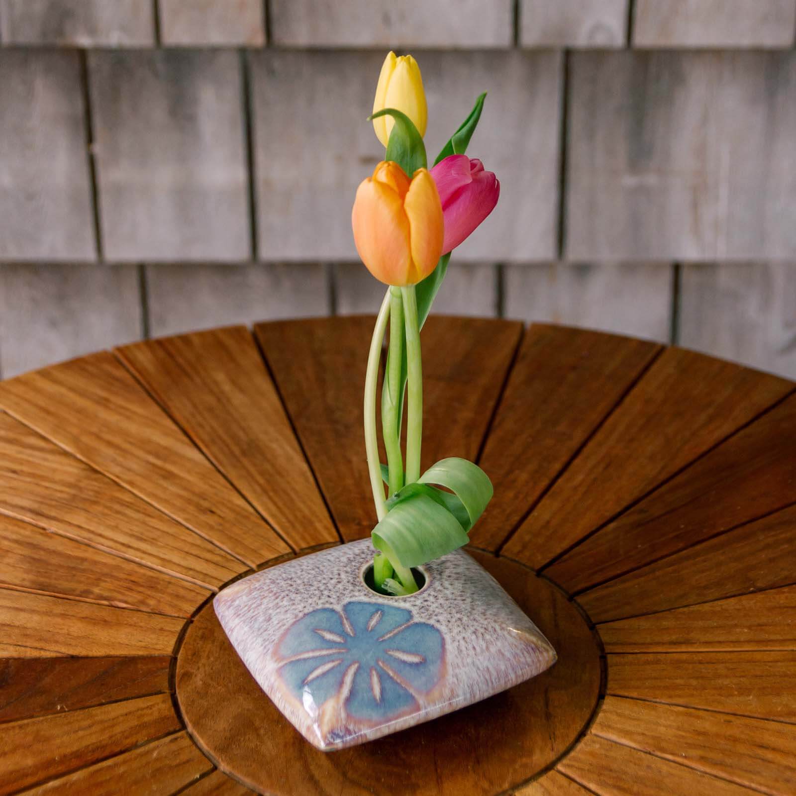 Square Ikebana, Purple Sanddollar