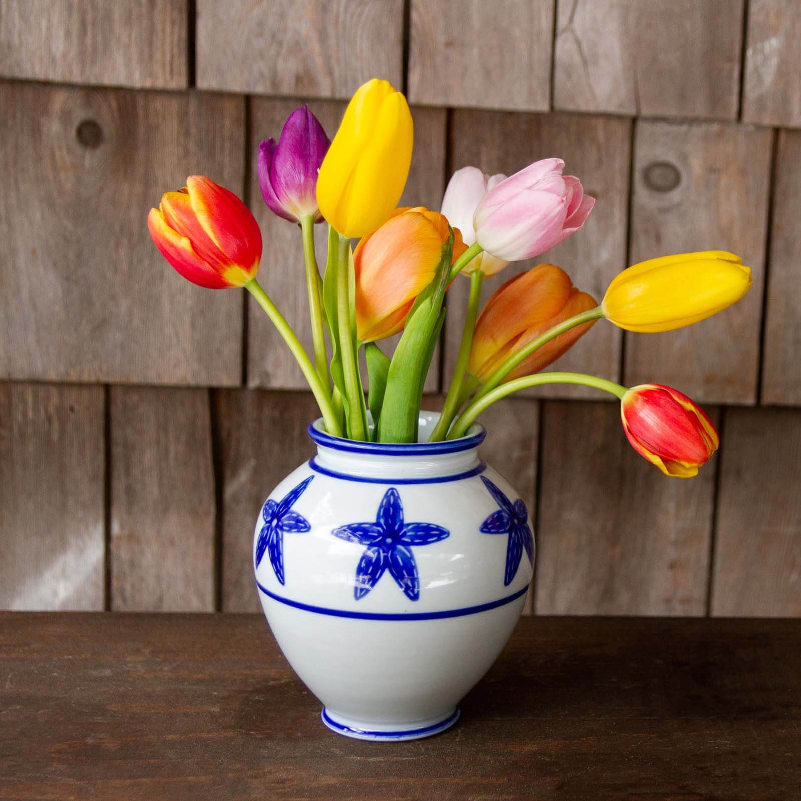 Small Thrown Vase, Starfish