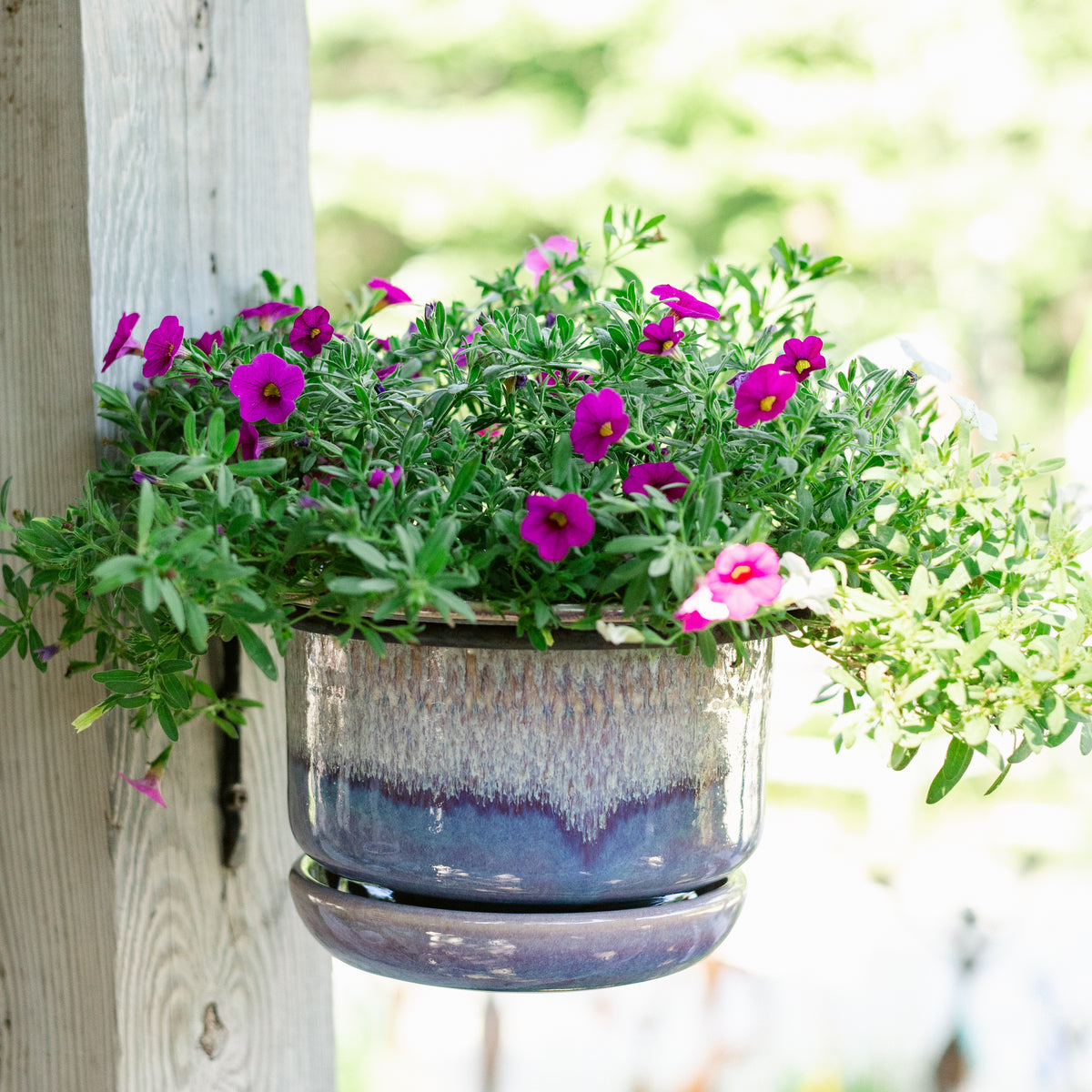 7 Inch Ring Planter