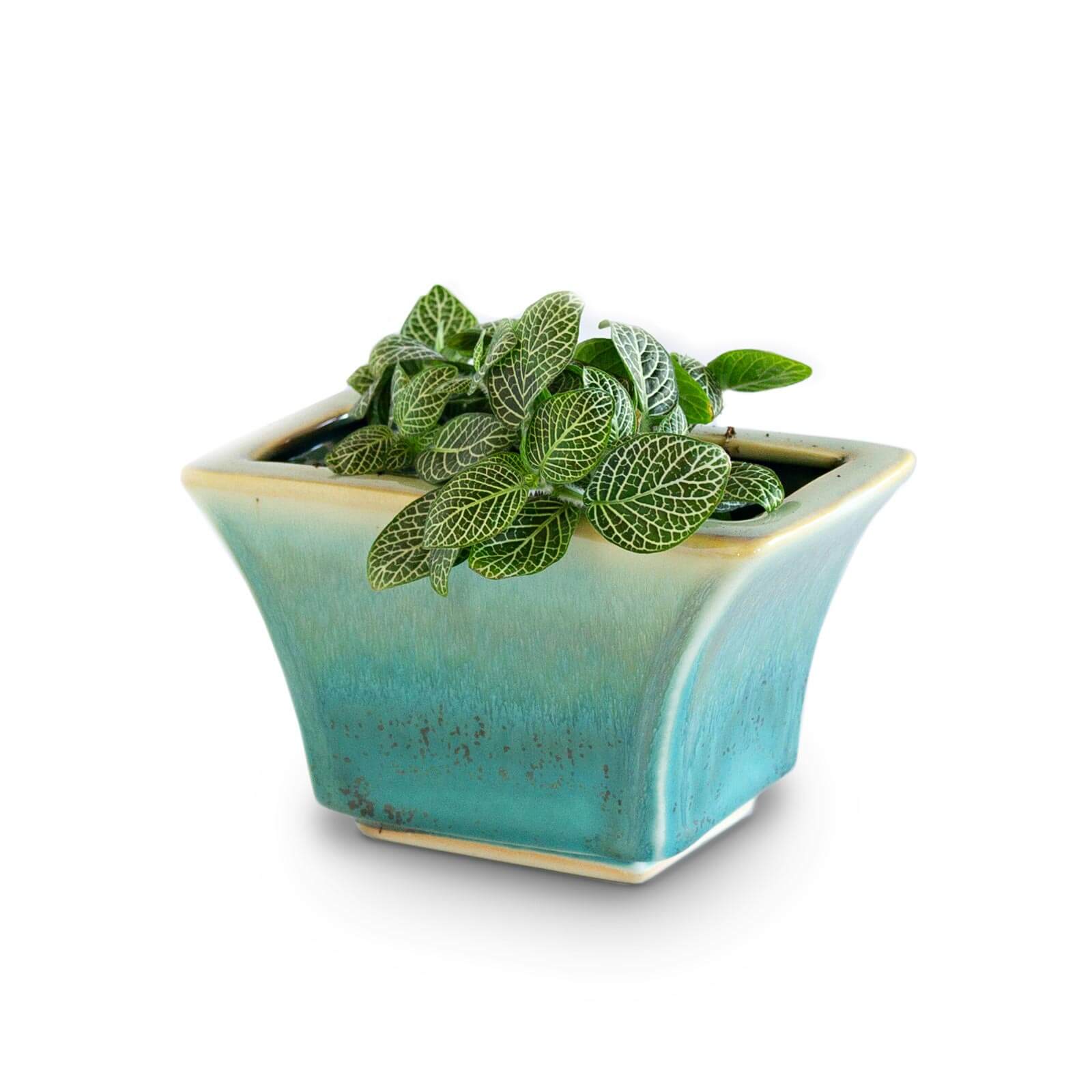 windowsill indoor planter Windowsill Planter handmade by Georgetown Pottery in Maine in Blue Hamada pattern