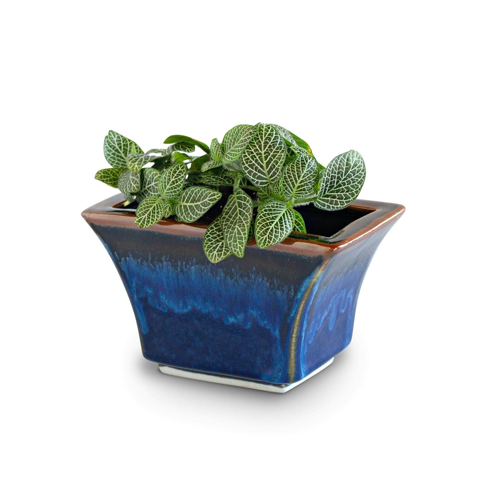 Handmade Pottery Windowsill Planter in Blue Hamada pattern made by Georgetown Pottery in Maine