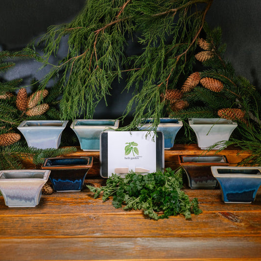 Windowsill Planter & Herb Seed Kit