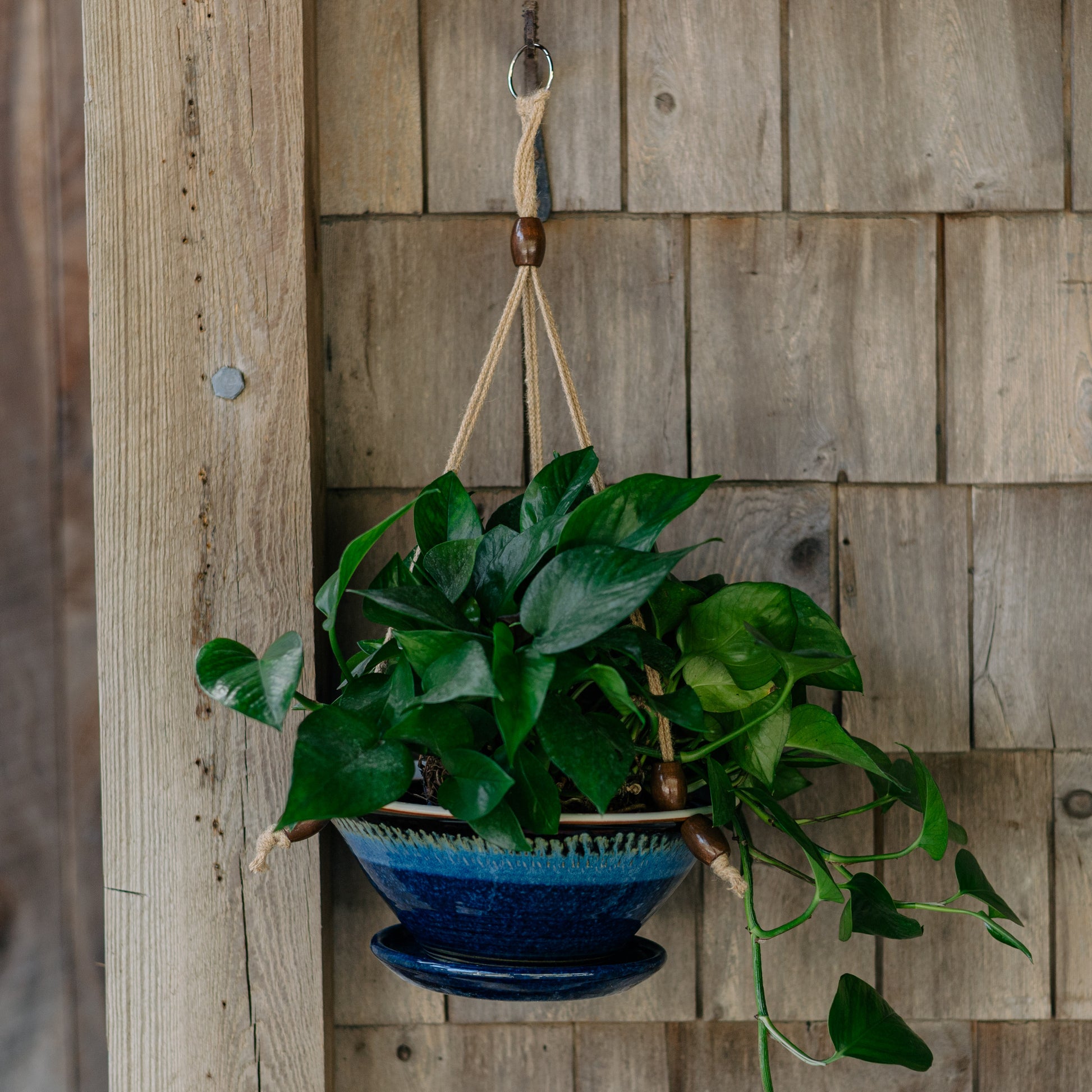 hanging planter wall Georgetown Pottery 9-1/2 Inch Hanging Planter , handmade porcelain