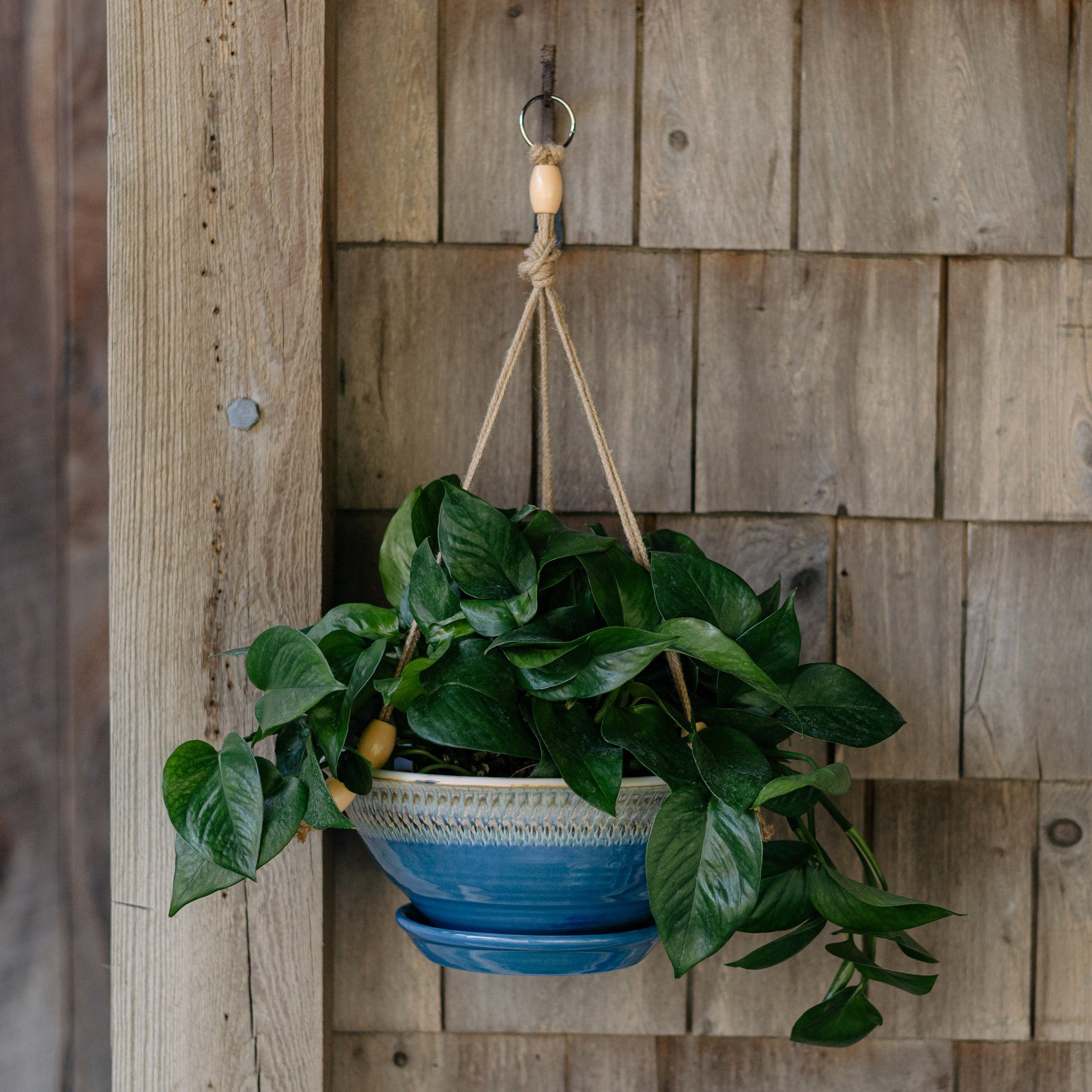handmade hanging plants Georgetown Pottery 9-1/2 Inch Hanging Planter , handmade porcelain
