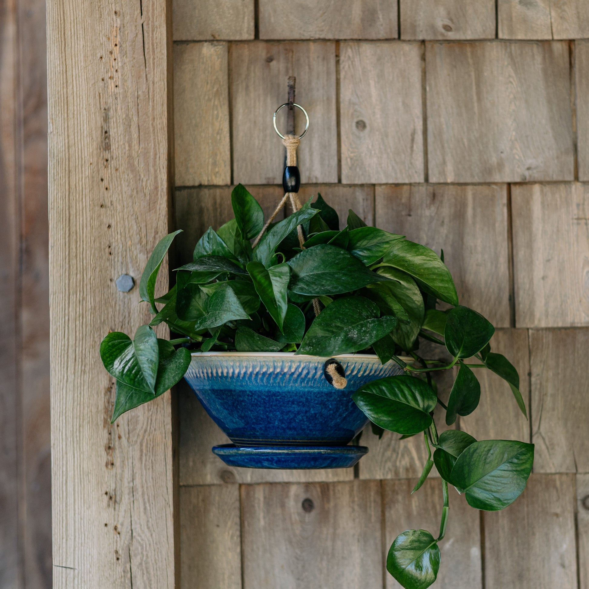 7 inch hanging planter Georgetown Pottery 9-1/2 Inch Hanging Planter , handmade porcelain