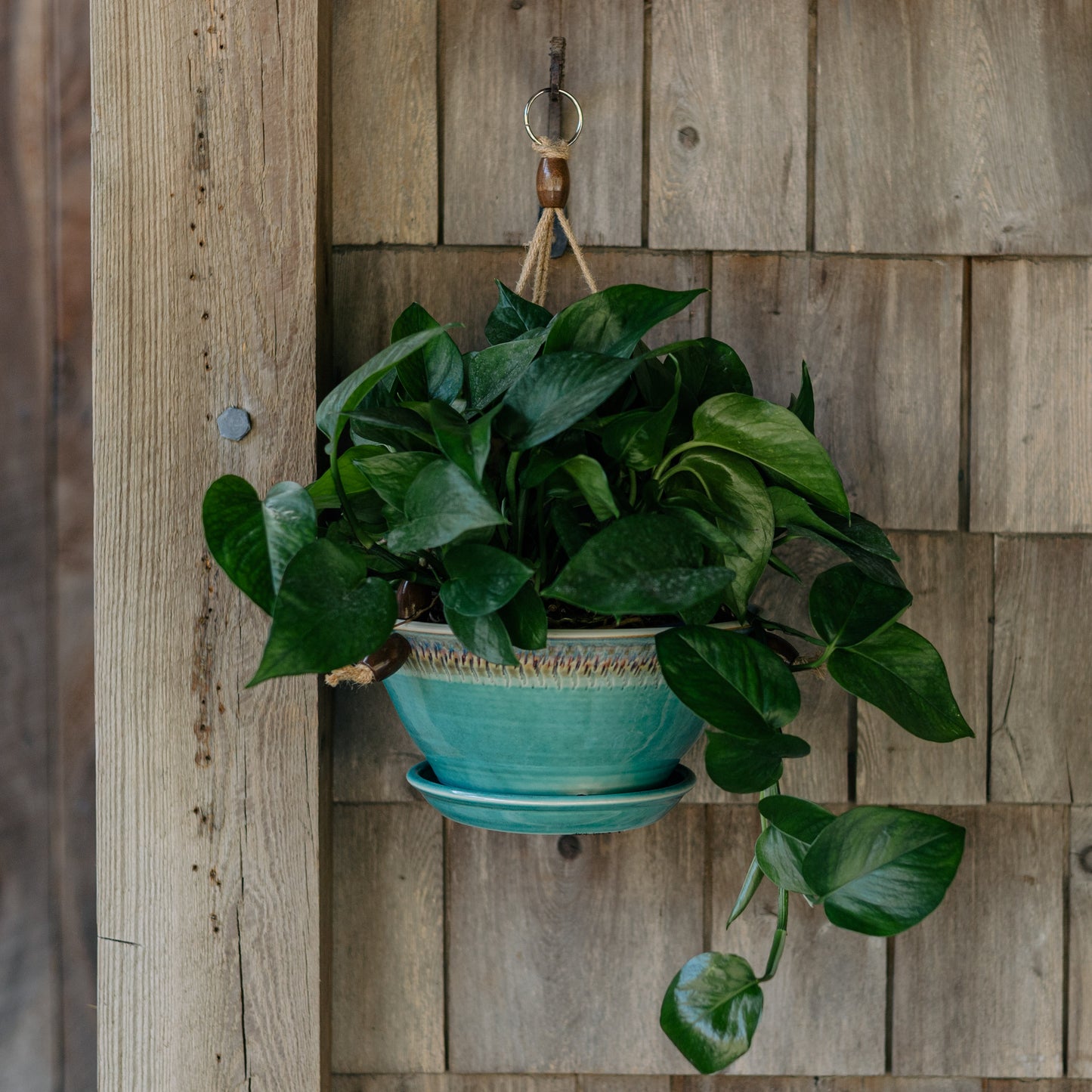 9-1/2 Inch Hanging Planter