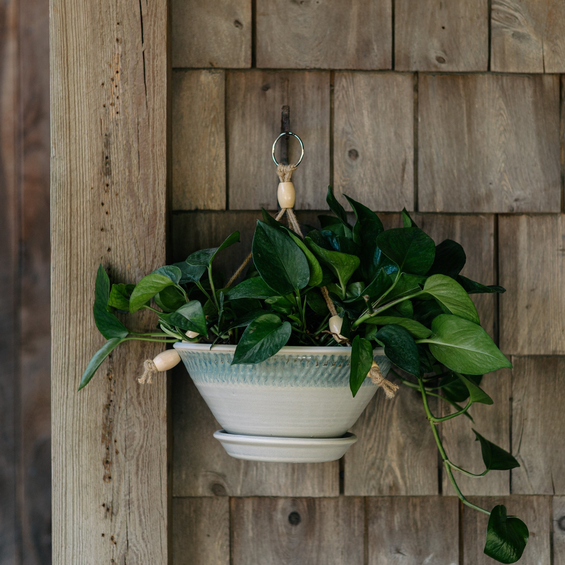 indoor plant pots for hanging Georgetown Pottery 9-1/2 Inch Hanging Planter , handmade porcelain