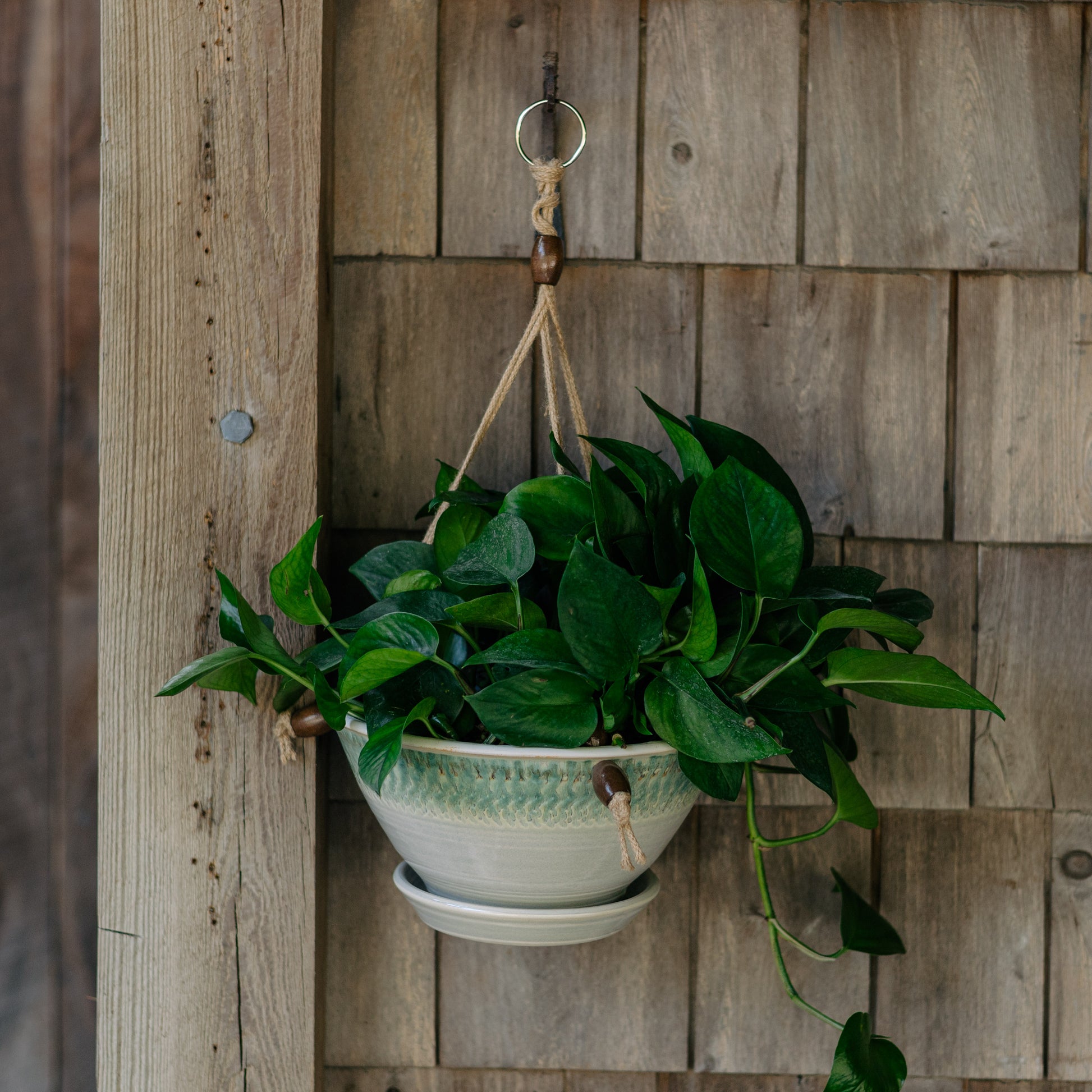 hanging round planter Georgetown Pottery 9-1/2 Inch Hanging Planter , handmade porcelain