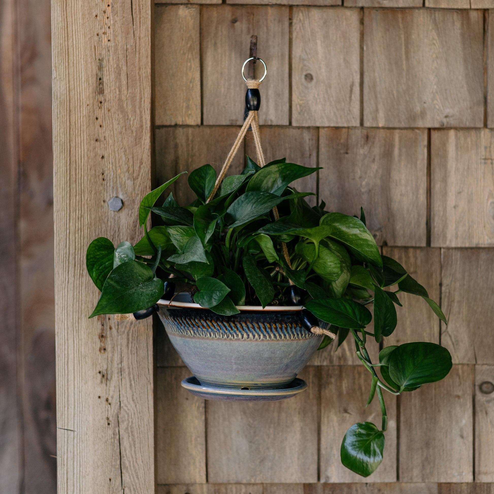 10 hanging planter Georgetown Pottery 9-1/2 Inch Hanging Planter , handmade porcelain