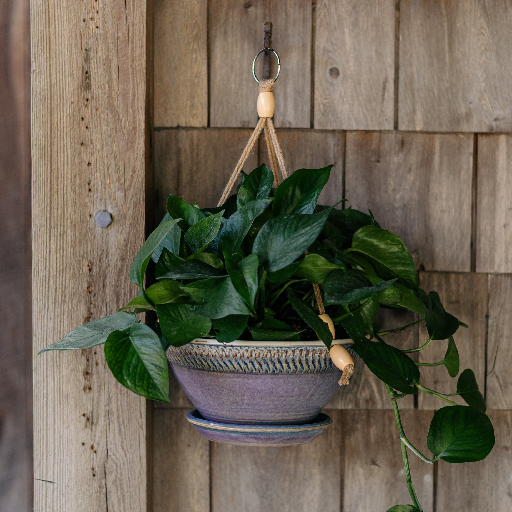 purple hanging planter Georgetown Pottery 9-1/2 Inch Hanging Planter , handmade porcelain