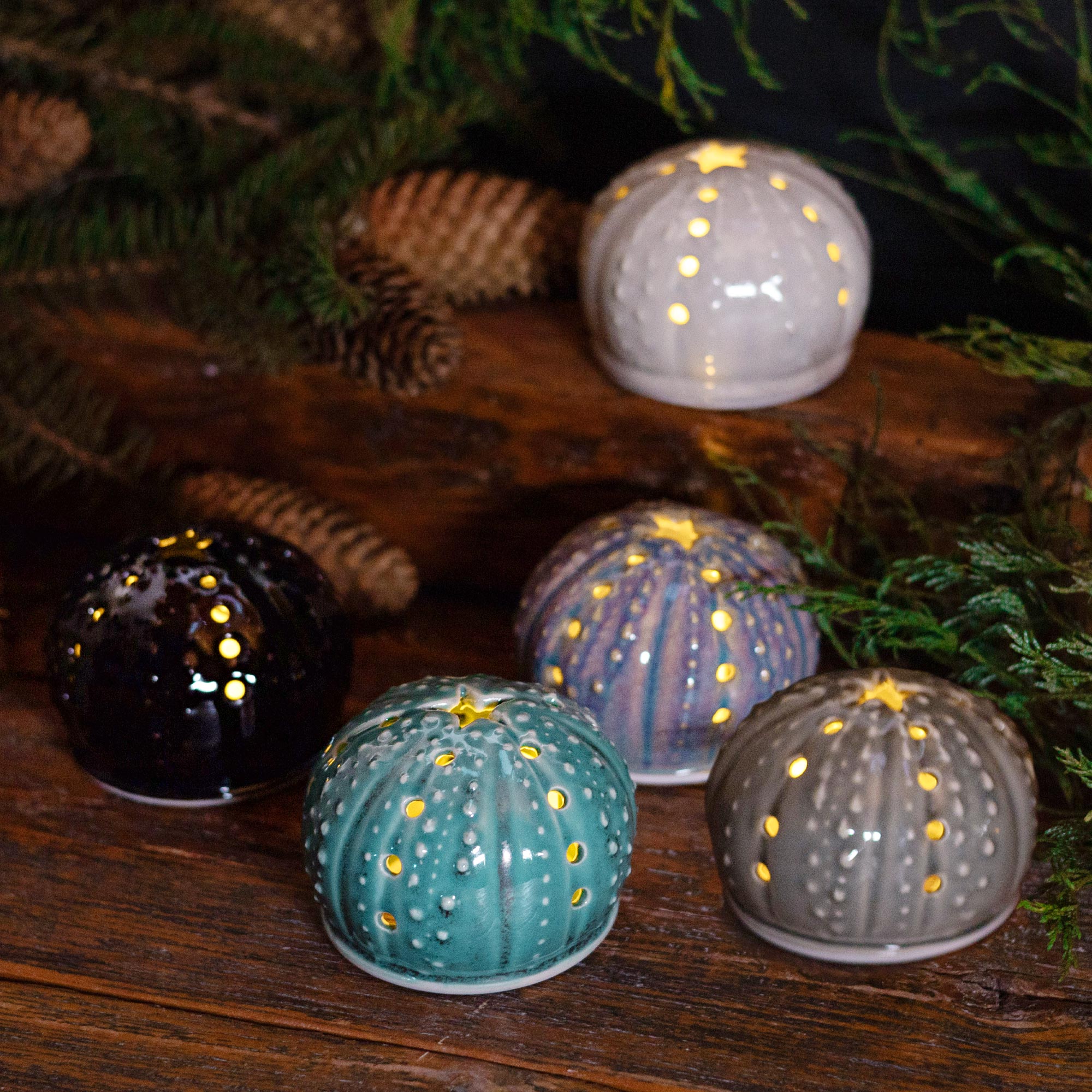 Urchin Luminary – Georgetown Pottery