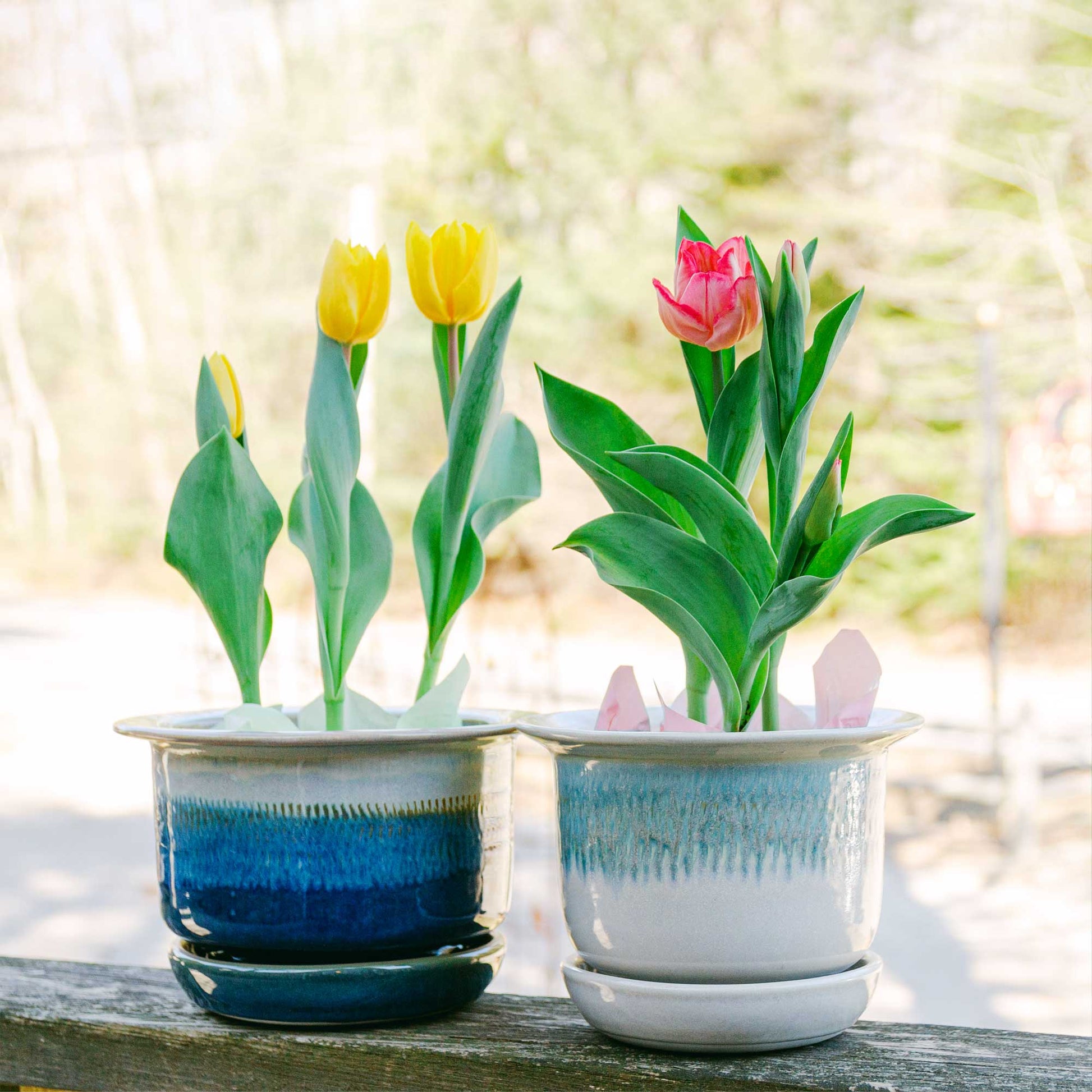 Handmade Pottery 6 Inch Ring Planter in Blue Hamada pattern made by Georgetown Pottery in Maine