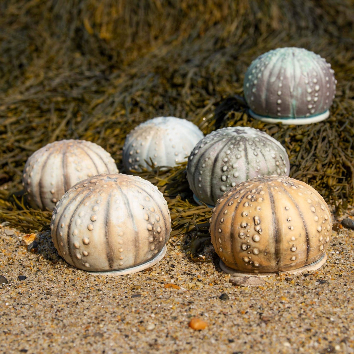 Handmade Salt Urchin Salt Shaker made by Georgetown Pottery in Maine