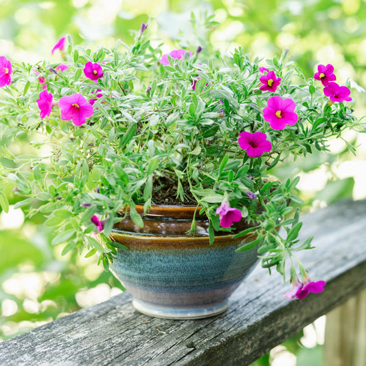 Tabletop Planter